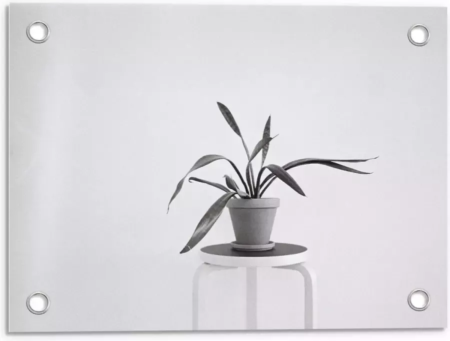 KuijsFotoprint Tuinposter – Zwart-Witte foto van Plant op Kruk 40x30cm Foto op Tuinposter (wanddecoratie voor buiten en binnen)