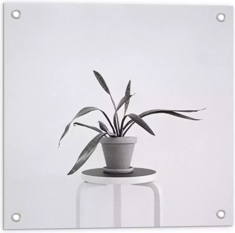 KuijsFotoprint Tuinposter – Zwart-Witte foto van Plant op Kruk 50x50cm Foto op Tuinposter (wanddecoratie voor buiten en binnen)