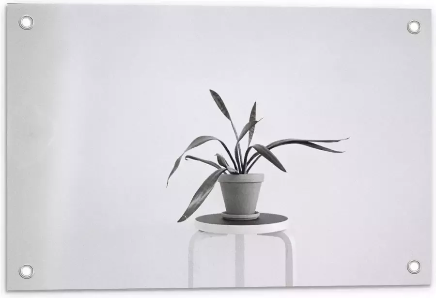 KuijsFotoprint Tuinposter – Zwart-Witte foto van Plant op Kruk 60x40cm Foto op Tuinposter (wanddecoratie voor buiten en binnen)