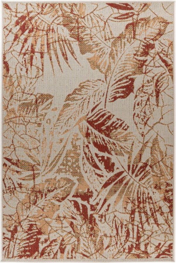Lalee Capri Modern Vloerkleed Laagpolig Multi Tapijt Karpet Nieuwe Collectie 2024 Hoogwaardige Kwaliteit 120x170 cm