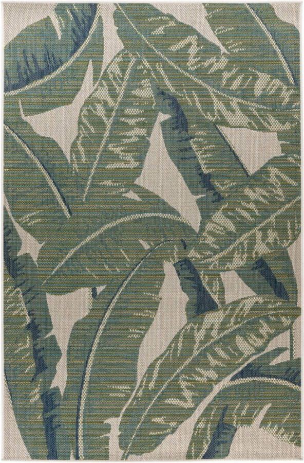 Lalee Capri Modern Vloerkleed Laagpolig Green Tapijt Karpet Nieuwe Collectie 2024 Hoogwaardige Kwaliteit 240x330 cm