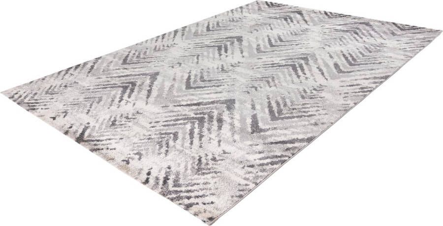 Lalee Trendy vloerkleed Superzacht Vintage look visgraat Tapijt Karpet 120x170 Zilver