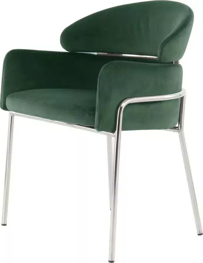 LaleeAvenue Floraya Eetkamerstoel Elva Groen Zilver 57x58x79cm (LxBxH) Maximaal draagvermogen 120KG