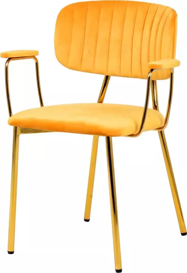 Litecommerce Kayoom Set 2 stoelen Kian met armleuning Velours Fluweel Grijs Goud Belastbaar gewicht 120KG