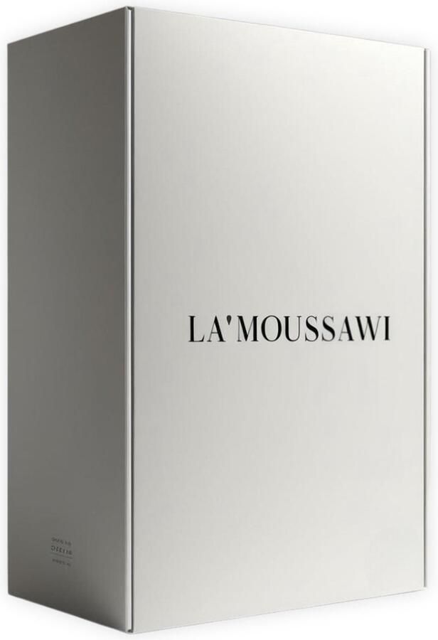 La'Moussawi Ruimtebesparende Opvouwbare Kledingkast Organizer Set met Vakken voor Optimale Opslag