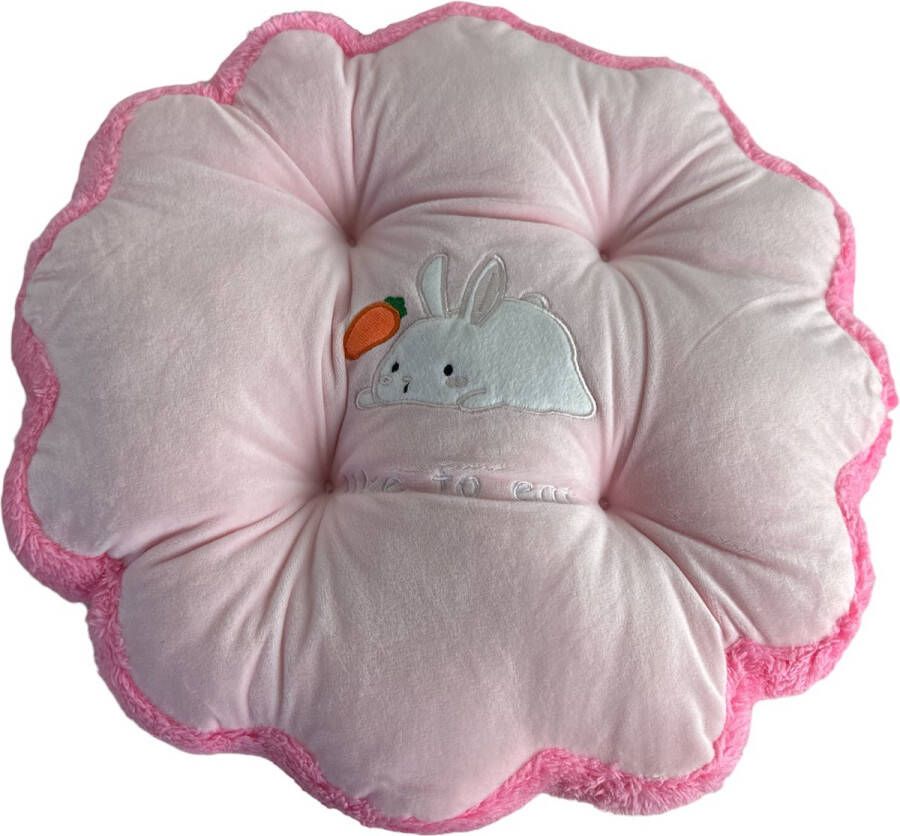 LB Boxy Knuffel Opgezette Dieren Voor Kinderen Donzige Kussens Voor Kinderen Decoratief Kinderkussen Dierenspeelgoed Voor Kinderen Zachte Kussens Vloer Poef Dikker Maken Kantoor Baby