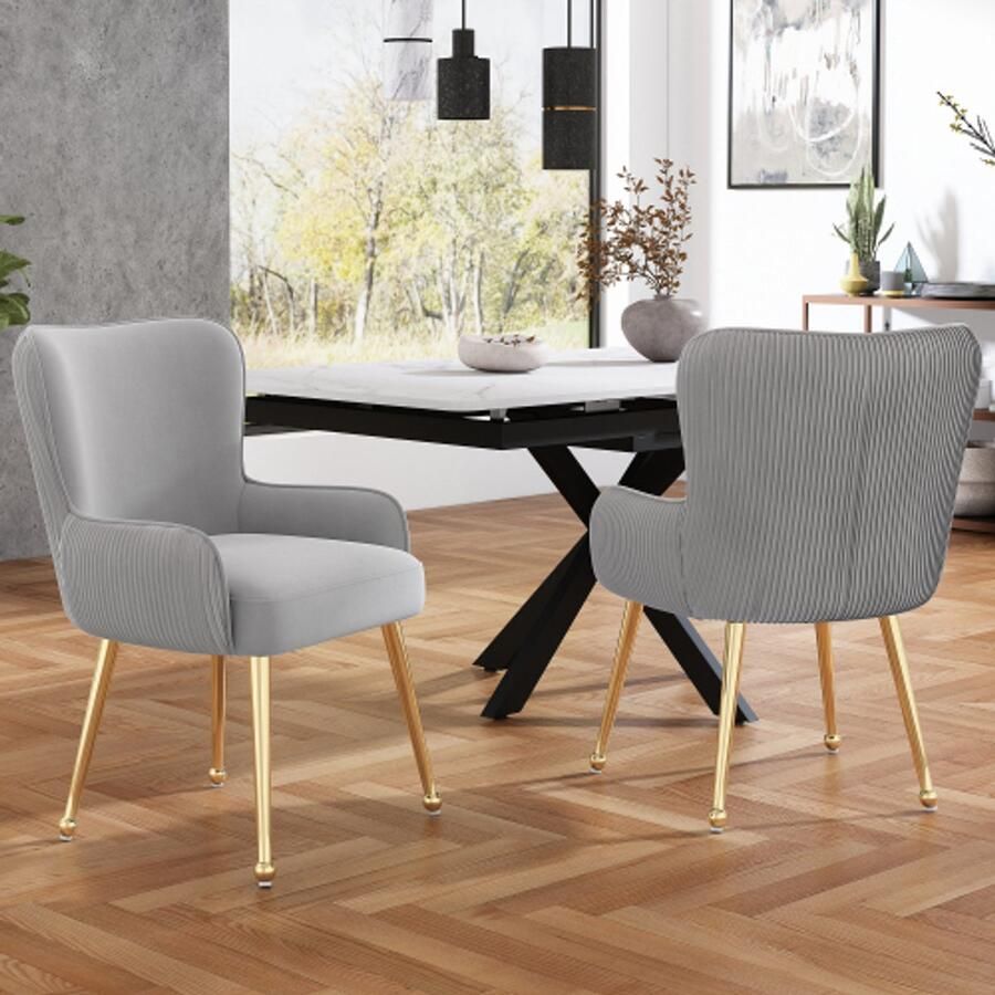 Learnlogic . 2-stuk fluweel eetkamerstoelset luxueus woon- en slaapkamer loungestoel met vier gouden metalen voeten met armleuningen en verstelbare voeten lage rugsteun grijs