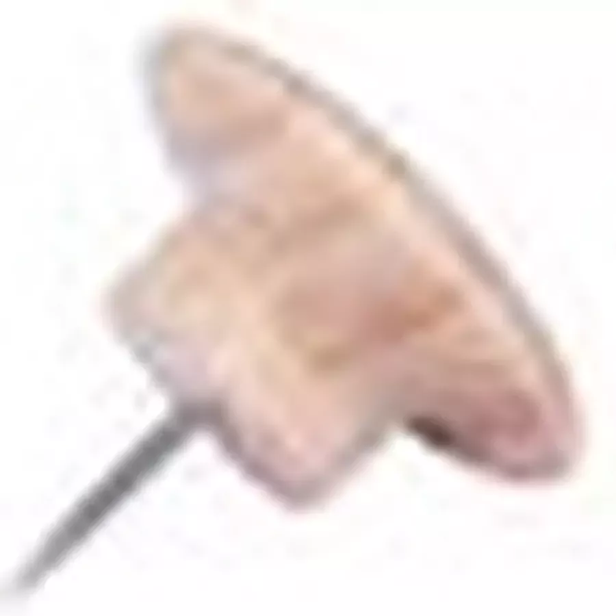 Legamaster Push pins hout 25stuks - Foto 2