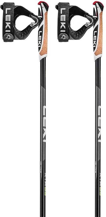 LEKI ALPINO Xta 5.5 Stokken Zilver 135 cm