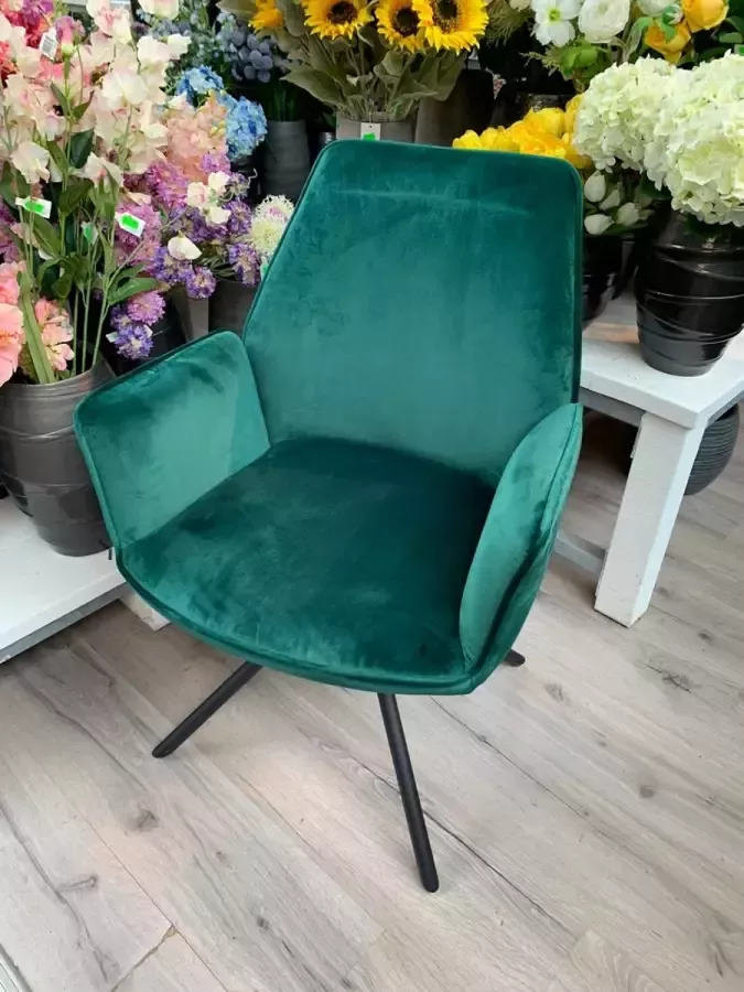 Lesliliving Eetkamer Stoel Nova Groen