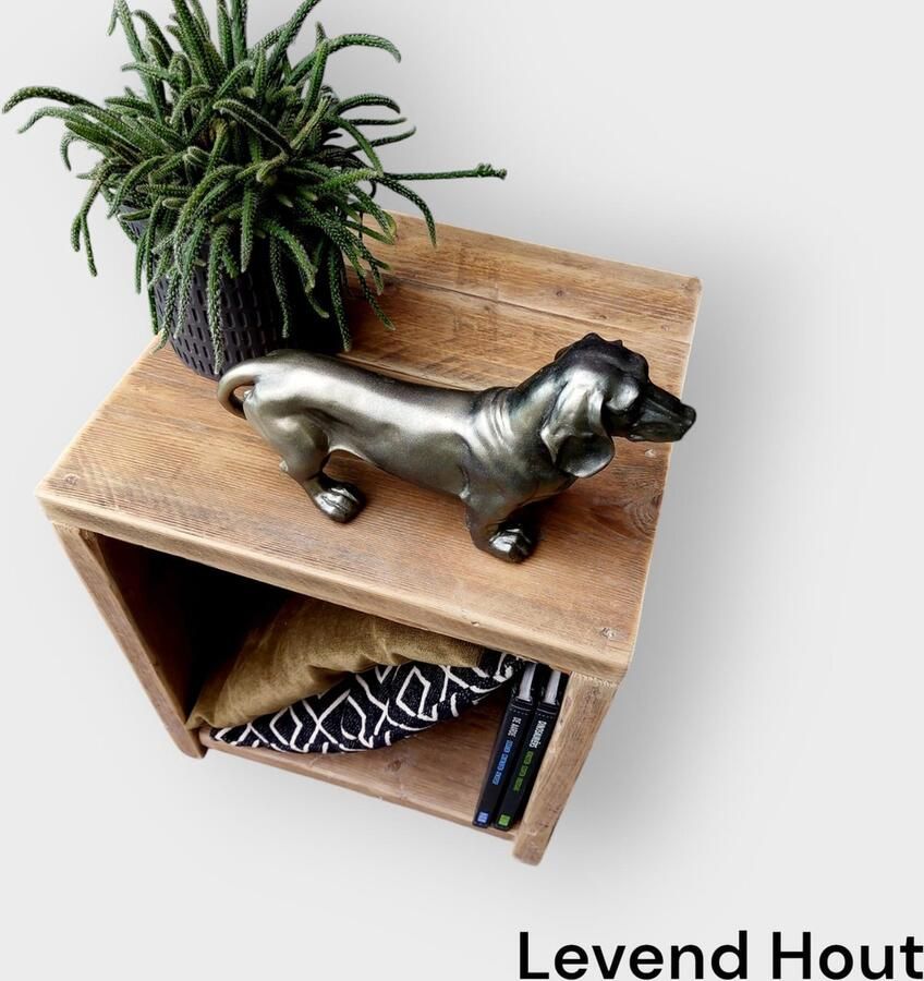 Levend Hout Stijlvol Nachtkastje of Bijzettafel – Compact & Modern met pootjes