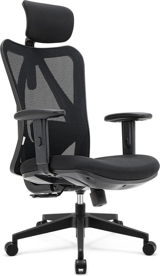 LifeGoods Ergonomische Bureaustoel Office Chair NEN1335-gecertificeerd Volwassenen Gamestoel Hoofdsteun Chaise De Bureau Zwart