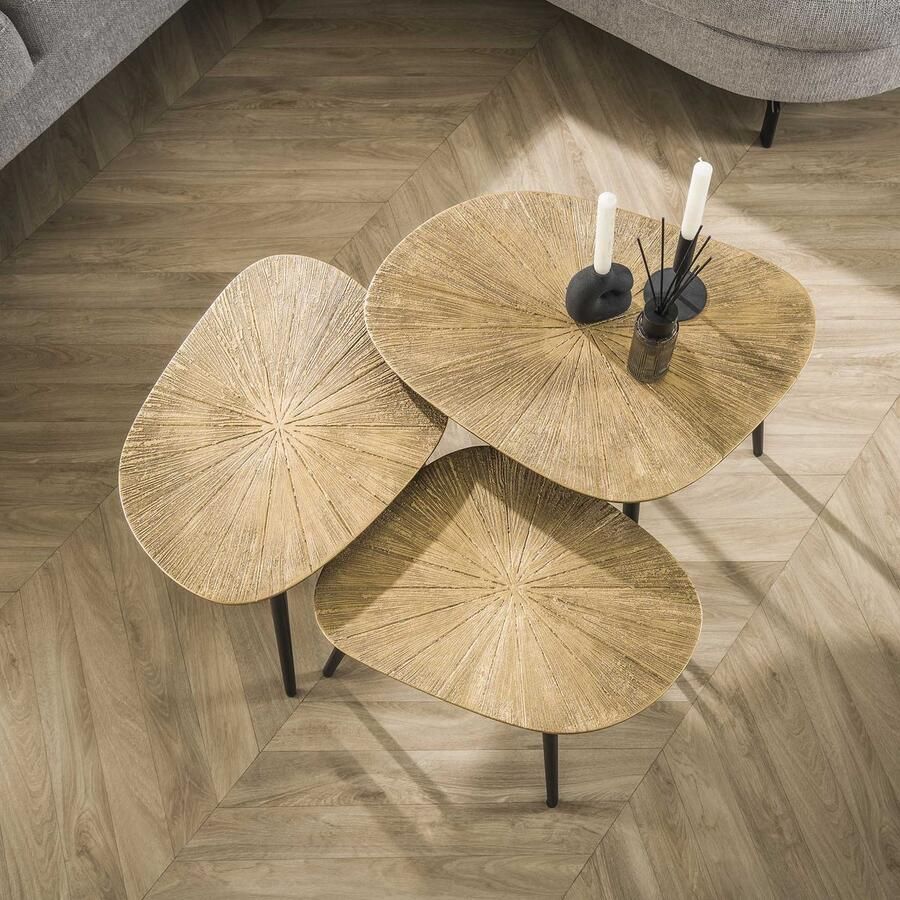 LifestyleFurn Organische Salontafel Katrell Ray Metal Set van 3 stuks Brons ray metal
