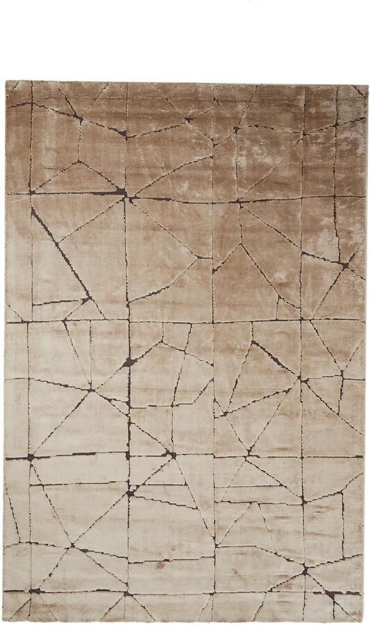 Light & Living Light&living Vloerkleed 230x160 cm DACULA bruin+donker bruin