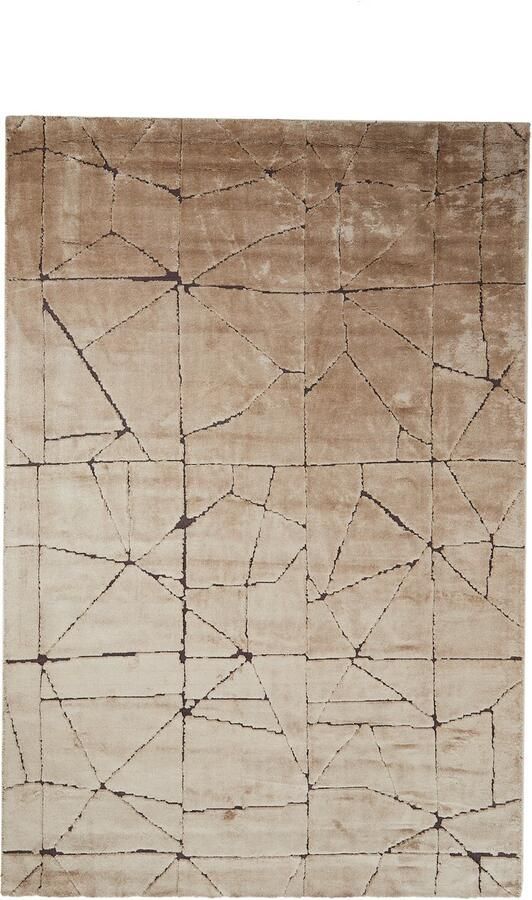 Light & Living Light&living Vloerkleed 300x200 cm DACULA bruin+donker bruin