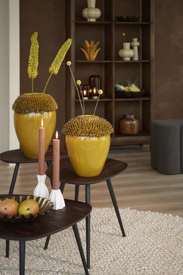 Light & Living Salontafel Viejo Hout en metaal Set van 3 stuks Donkerbruin Organisch