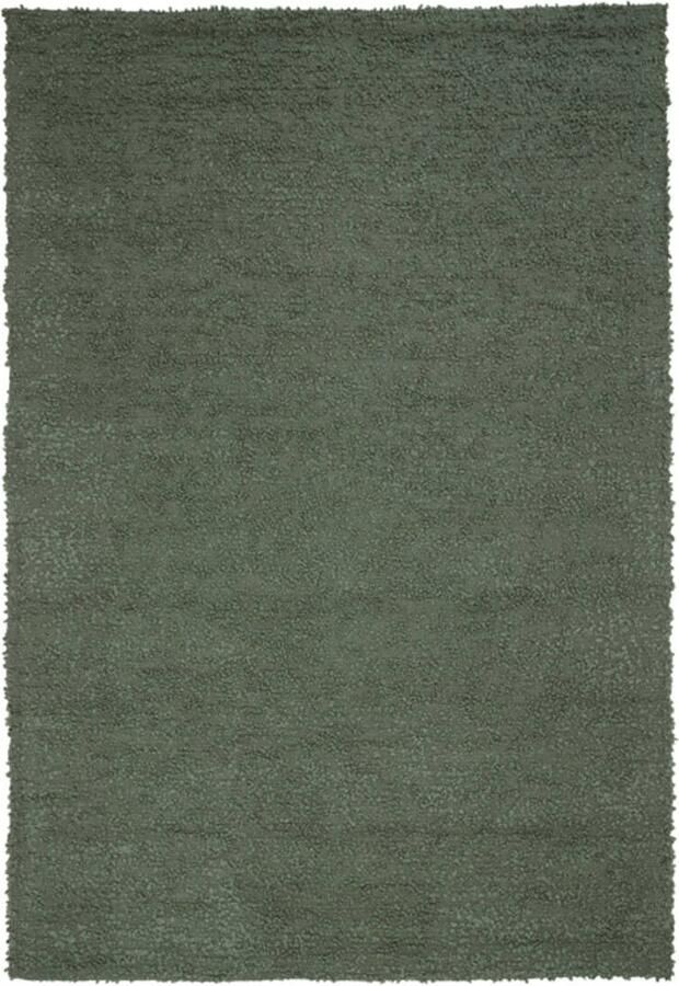 Light & Living Vloerkleed HUMADA 230x160x0.5cm Groen