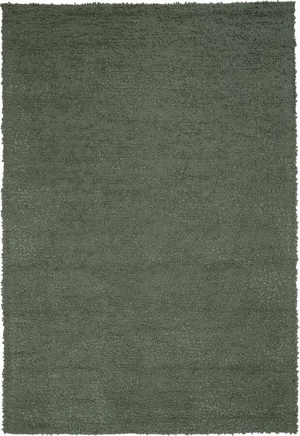 Light & Living Vloerkleed HUMADA 300x200x0.5cm Groen