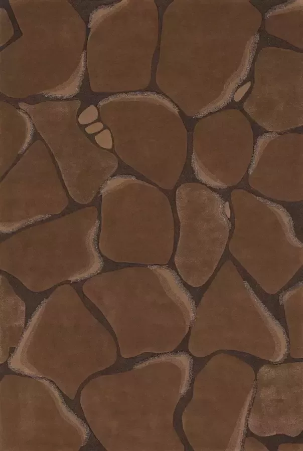 Ligne Pure Create Vloerkleed tapijt Bruin 170x240