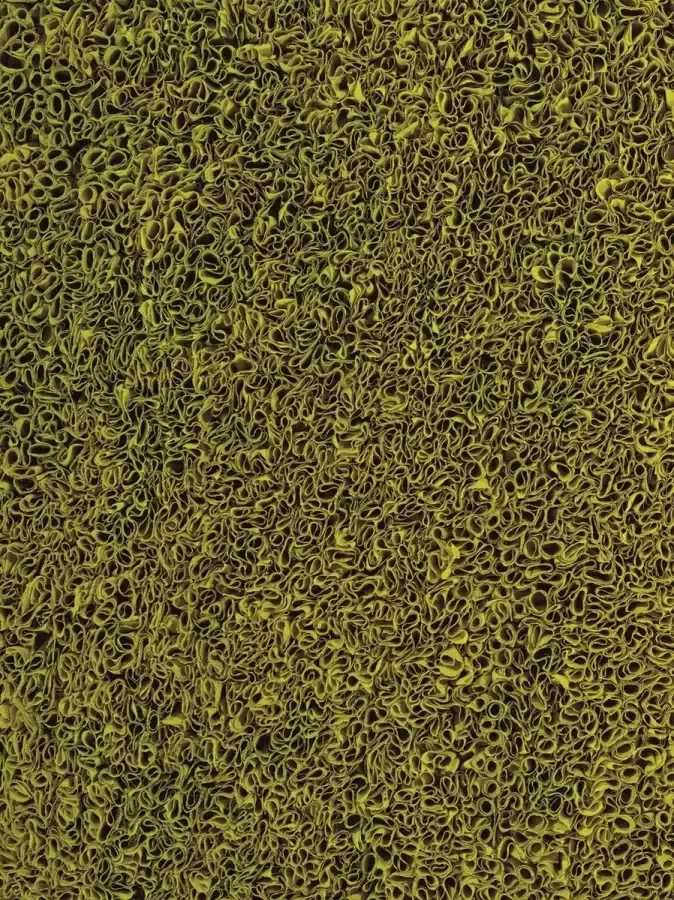 Ligne Pure Influence Vloerkleed tapijt Groen 170x240