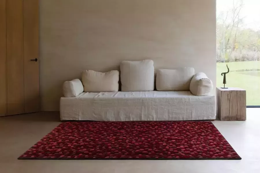 Ligne Pure VITALIZE Tapijt Multi Rood 140x200