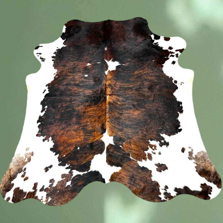 Normandische Koeienhuid vloerkleed industrieel vloerkleed bruin wit zwart T.001 Tri color koeienvel Tricolor 220x220 - Foto 2