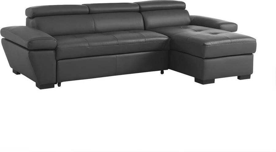 LINEA SOFA Hoekbank JONOVA Leer Grijs Hoek rechts L 256 cm x H 83 cm x D 154 cm - Foto 2