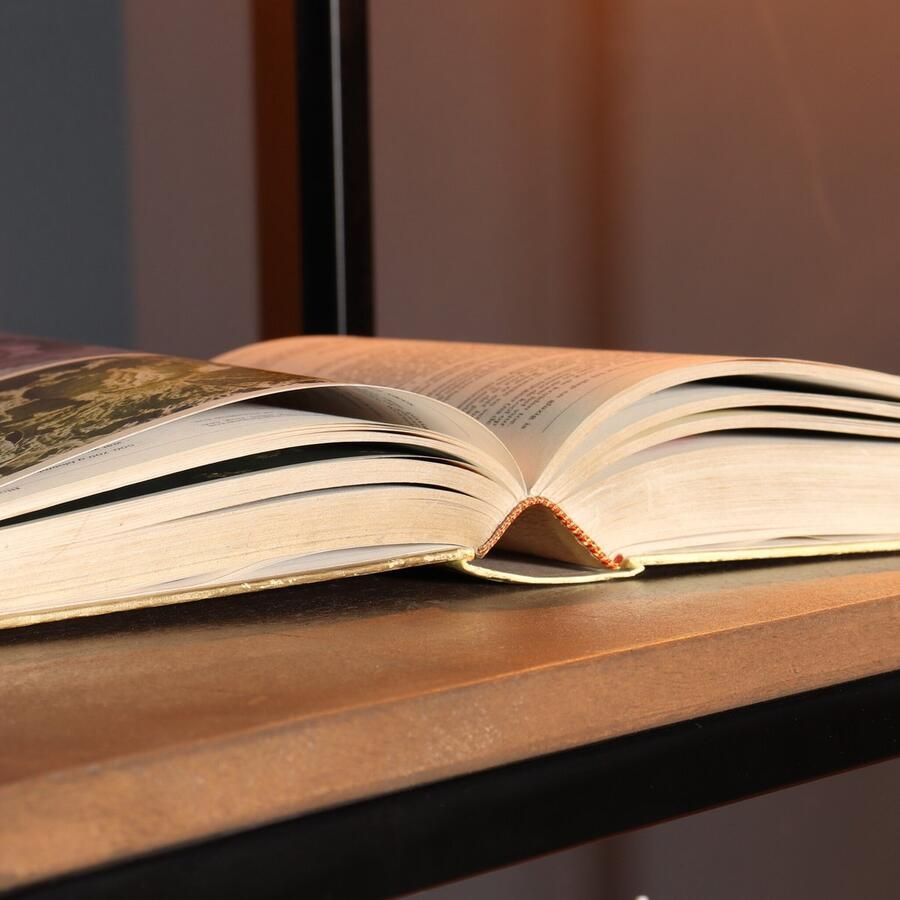 Lizzely Garden & Living Boekenkast mangohout Jaell walnoot bruin kast industrieel 180cm duurzaam massief hout mango wandkast - Foto 2