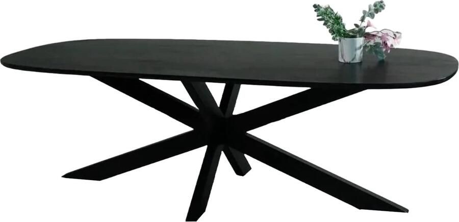 Lizzely Garden & Living Eettafel deens ovaal mangohout 240cm Austin zwart ovale tafel duurzaam mango eetkamertafel - Foto 2