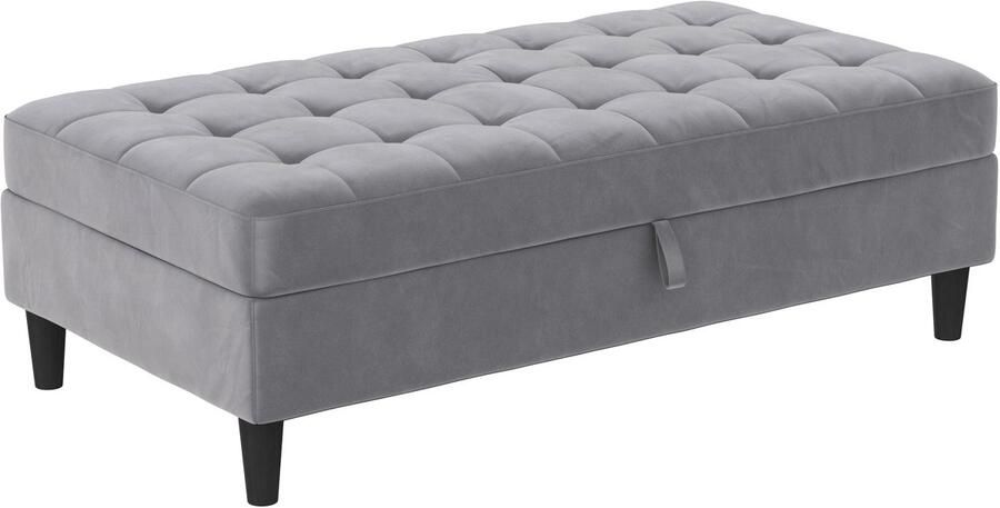 Loft24 Presley|Poef met opbergruimte in fluweelgrijs