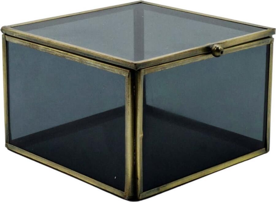 Lolaa Vitrine doosje Smoke 13cm