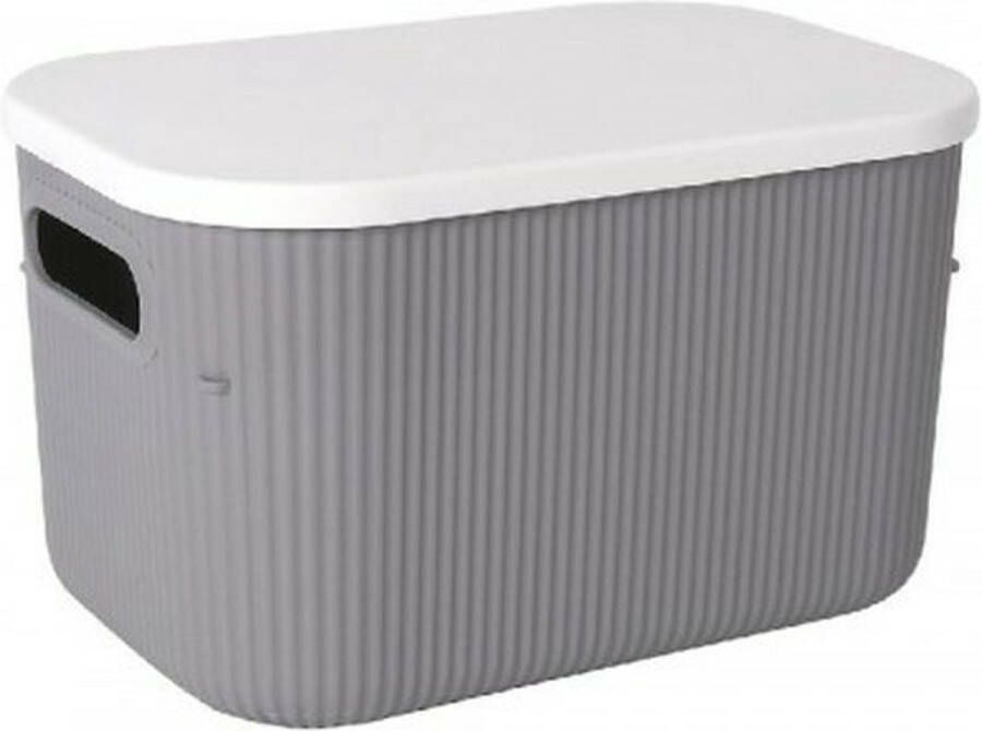 Lova Opslagdozen Grijs Plastic Met deksel 26 9 x 18 7 x 16 2 cm