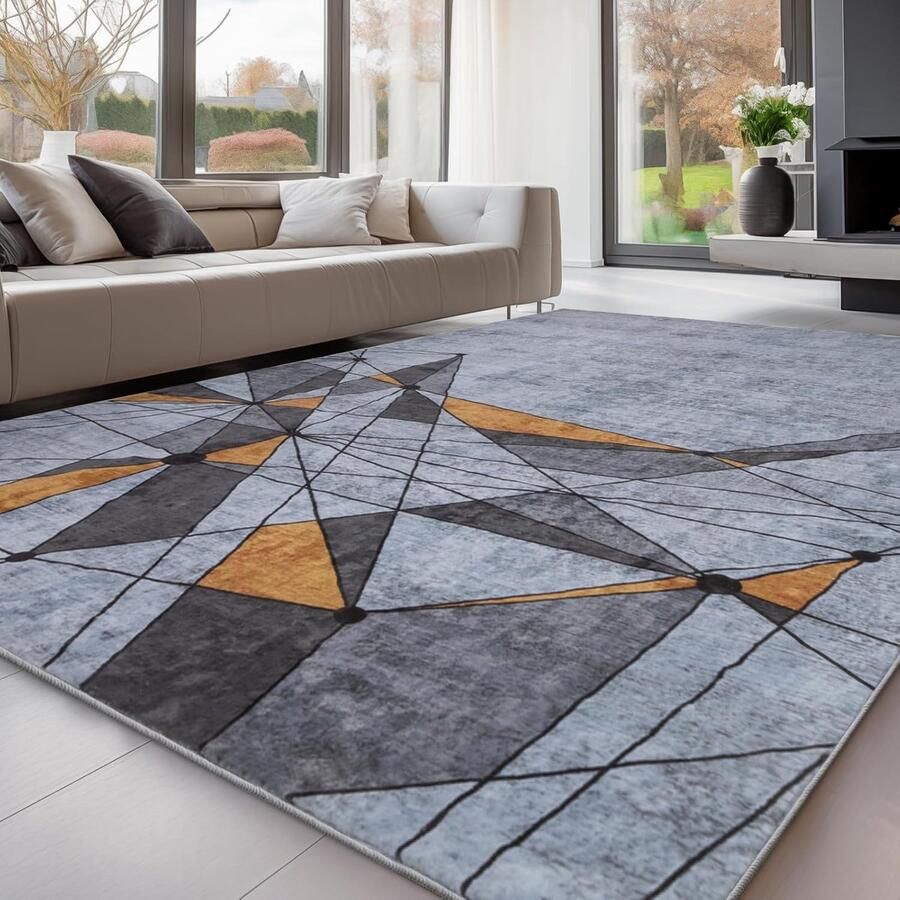 JGS Woonkamerkleed 160 x 230 wasbaar kleed voor slaapkamer vintage kleed wasbaar in wasmachine kortpolig tapijt zacht kleed voor woonkamer slaapkamer kinderkamer