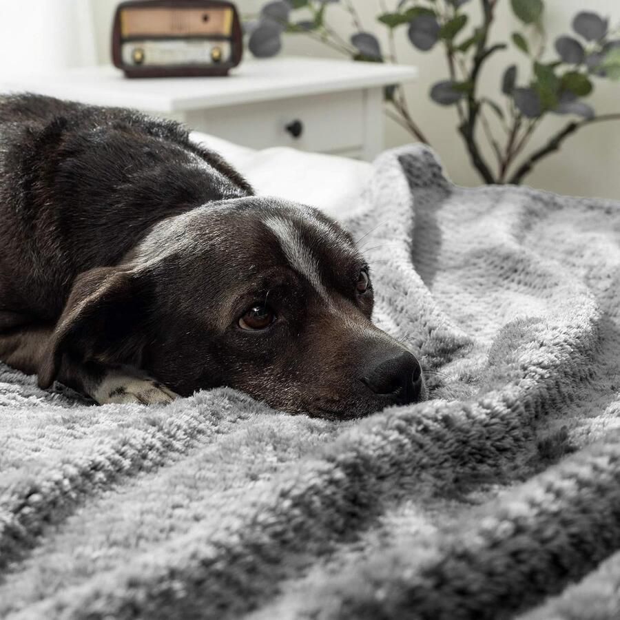 Luvetrex Zachte en Warme Fleece Deken voor Bank Bed en Kantoor 150 x 200 cm Donkergrijs