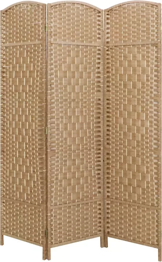 LW collection Kamerscherm Bruin rotan rieten kamerschermen 3 panelen scheidingswand 170x120cm paravent kant en klaar