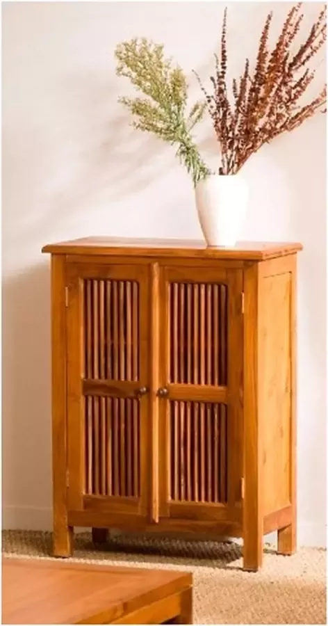 Macabane AYAN 2 deurs meubel van teakhout 60x30x80cm