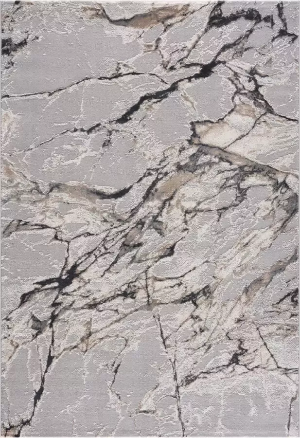 Magic Floors Magic Floor Tapijt Woonkamer Vloerkleed Gabardin 12502 Grijs Polyester (230x160cm)