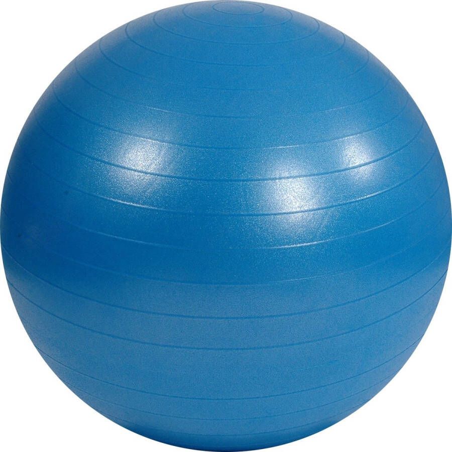 Mambo Max Zitbal AB 75 cm Blauw Gymbal Met pomp