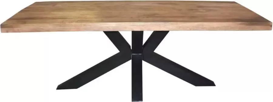 Mangoe Meubels Mangohout Eetkamertafel Tafel Eettafel rechthoek mango hout 220cm