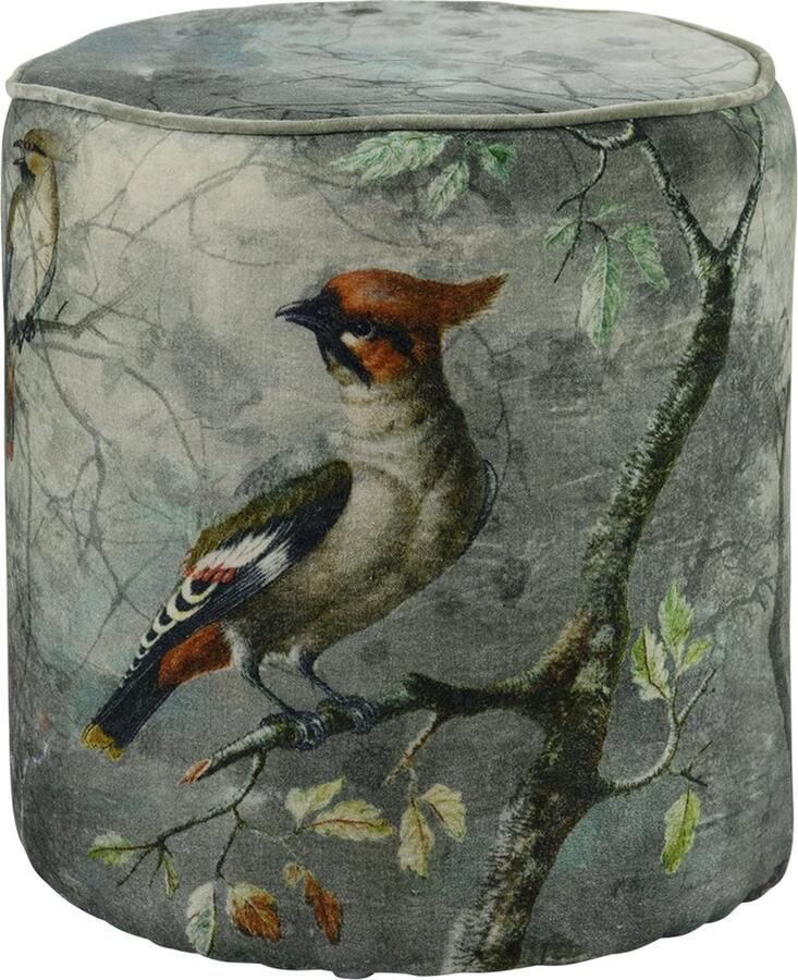 Mars & More poef fluweel charming kuifvogel 40x40x45cm*