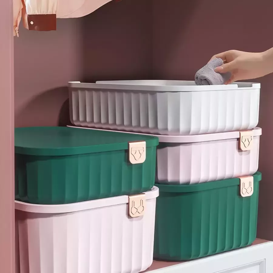Masey interior Kledingkast Organizer Roze Ondergoed set van 3 Ruimtebesparende opberg box