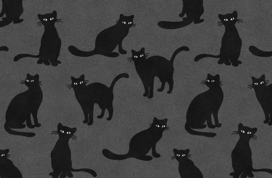 MatStyles Mat Vloermat Vloerkleed Tapijt Kind Kinderkamer Poes Wasbaar Antislip 175 x 115 cm