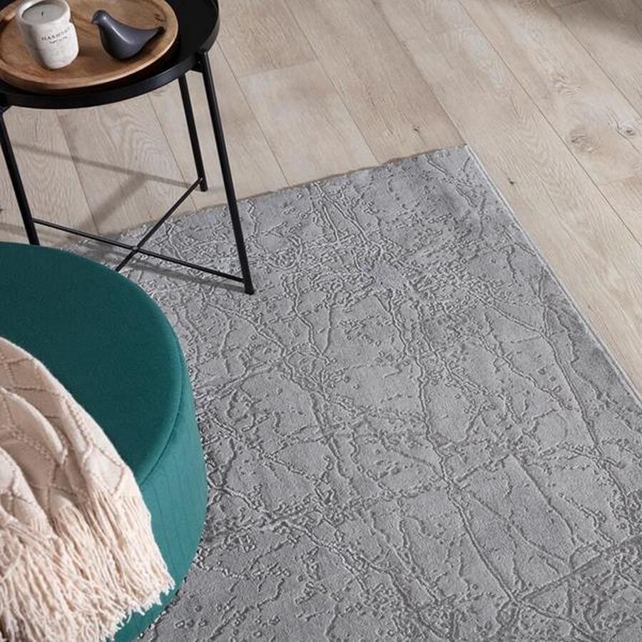Maxi Huis Tapijt Siggi Grey 3D-effect Hoge duurzaamheid Topkwaliteit 120 x 180