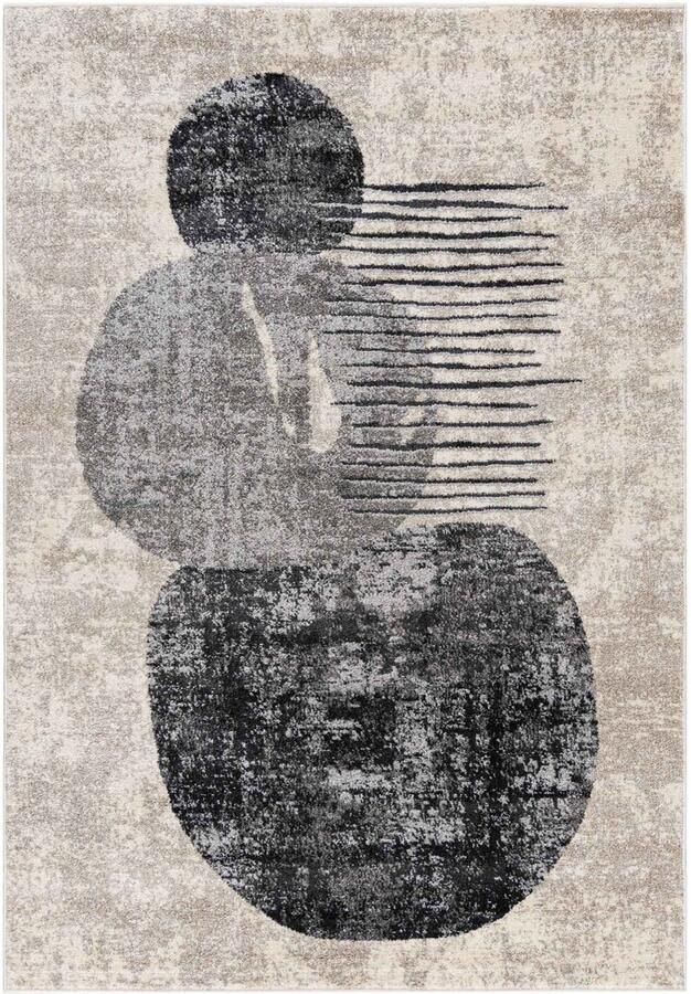 Mazovia Vloerkleed Grafiet Rechthoek Figuren en Vormen Woonkamer Slaapkamer Eetkamer Kantoor Kortpolig Rechthoek OEKO-TEX� 200 x 300 Figuren en Vormen
