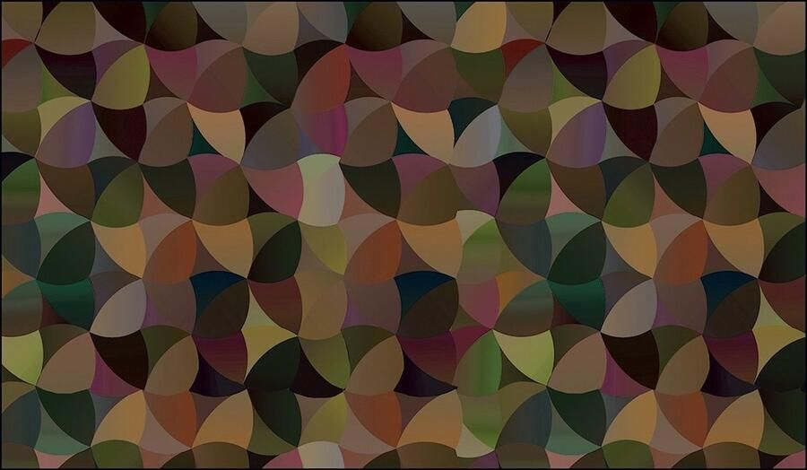 MD-Entree Design mat Universal – Amsterdam Autumn – Vloerkleed – Met antislip Machine wasbaar- Vocht absorberend Hoge dichtheid 600gr m2 67 x 120 cm