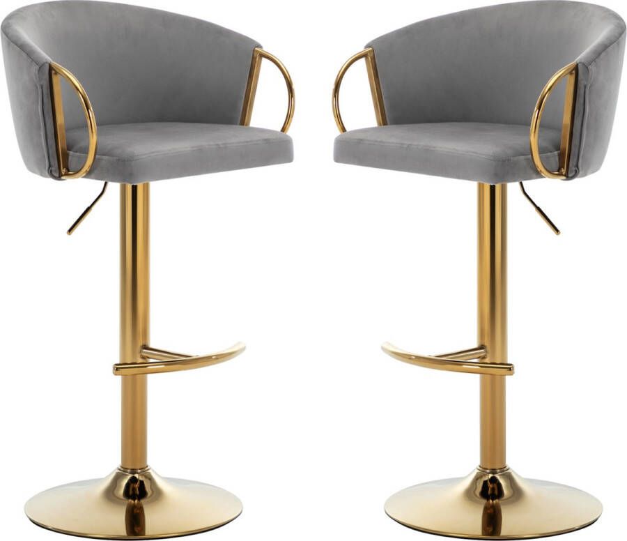 Merax Luxe Barkrukken Set van 2 Barkruk Barstoel met Voetensteun en Rugleuning Grijs met Goud