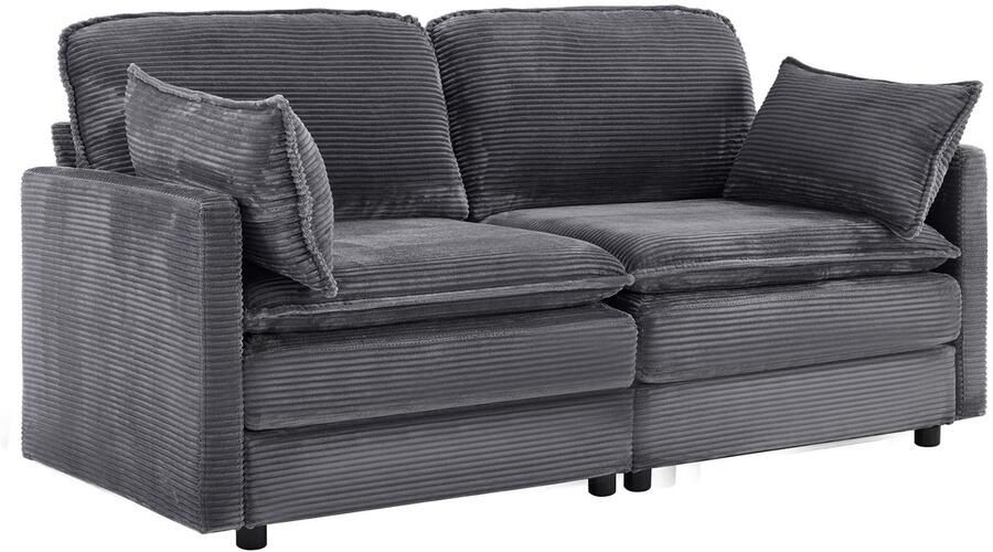 Merax 2-Zitsbank Grijs – Modern Minimalistisch Design – Comfortabele Woonkamerbank Voor Slaapkamer En Woonruimte