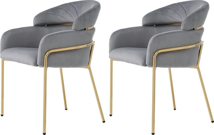 Merax Eetkamerstoelen (Set van 2) Luxe Fluweel Grijs Ergonomisch Design met Vier Metalen Poten