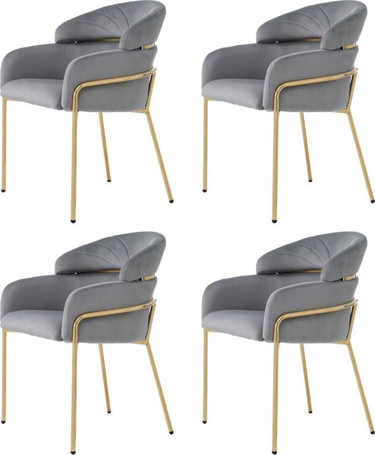 Merax Eetkamerstoelen (Set van 4) Luxe Fluweel Grijs Ideaal voor Woonkamer en Slaapkamer