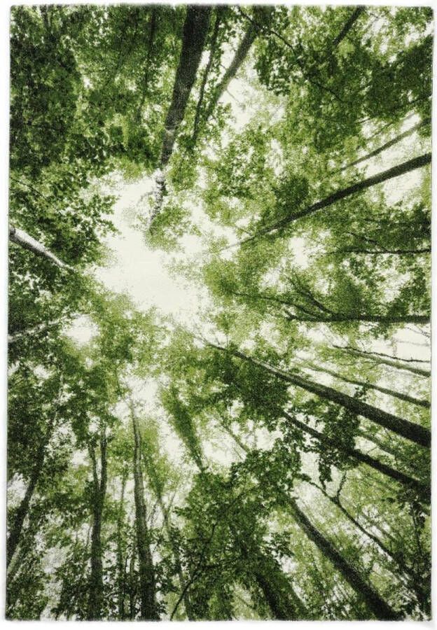 Merinos Vloerkleed BELIS BOMEN Laagpolig vloerkleed natuur bos motief voor alle kamers - Foto 3